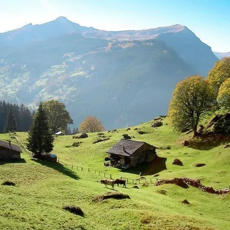 Aphrodite Ost With Magnificent Eiger View * גרינדלוולד
