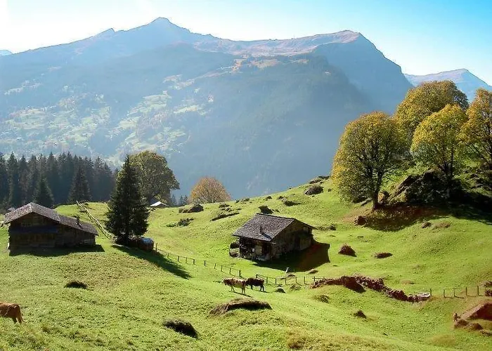 Aphrodite Ost With Magnificent Eiger View * Grindelwald