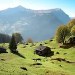 Aphrodite Ost With Magnificent Eiger View * Γκρίντελβαλντ